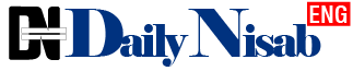 DailyNisab logo